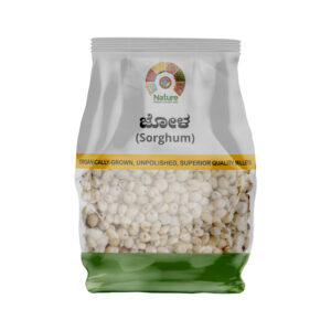Sorghum-Great Millet (ಬಿಳಿ ಜೋಳ)